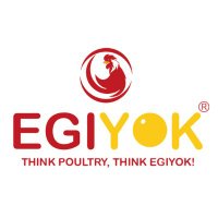 EGIYOK(@egiyokofficial) 's Twitter Profile Photo