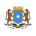 Diaspora Affairs Department 🇸🇴 (@dadsomalia) Twitter profile photo