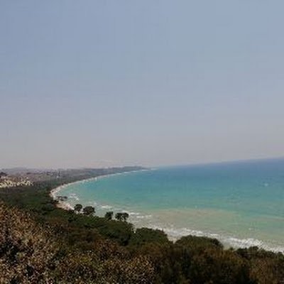 DavidCloos1's profile picture. 