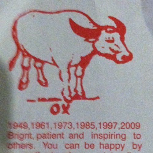 PharmaBeagle's profile picture. 