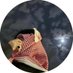 ﮼علي ⁴⁴ 🇹🇷 (@nta_50) Twitter profile photo ﮼علي ⁴⁴ 🇹🇷 (@nta_50) Twitter profile photo