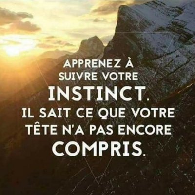 Je n’honore pas les accords qui ont été pris en mon absence : Je n’étais pas là lorsqu’ils ont décrété que je devais être un imbécile! 