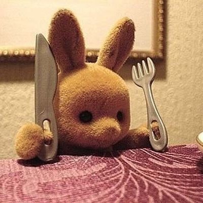 koalatheteddy's profile picture. Do whatever floats you boat