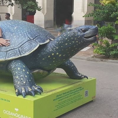 Biofab_'s profile picture. Bioinformático junior con ganas de comerse el mundo.