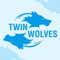 Twin Wolves Studio(@twinwolvesgames) 's Twitter Profile Photo