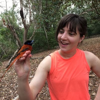 ErinLCole's profile picture. Postdoc at @socsymevo in the section for ecology and evolution at UCPH. #termites #socialinsects #socialimmunity. IG: zootastic_zoots