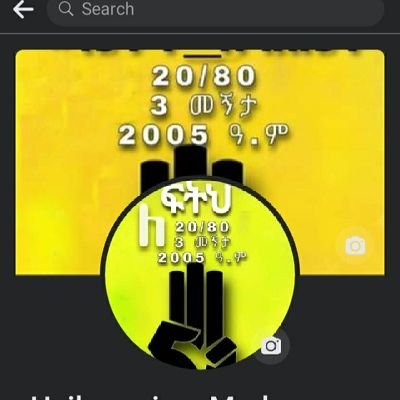 haile21mr1216's profile picture. 