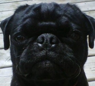 dmlynch3rd's profile picture. 