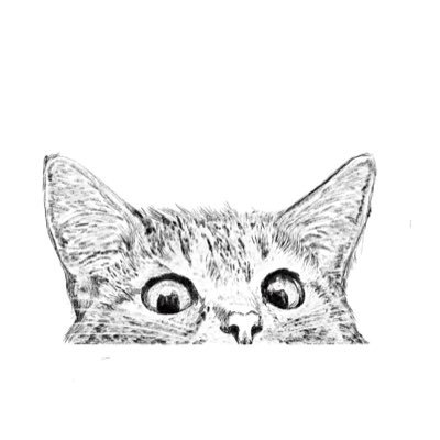 Catさんのプロフィール画像