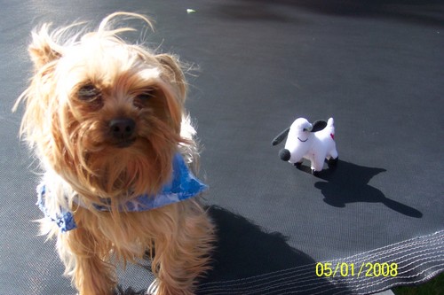 Toehaus's profile picture. Nachos mine