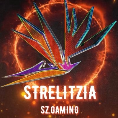 We play @T3arenajp 【Sz.GAMING】Esports team STRELITZIA #SzWIN Owner @Sz_watson manager @zombietti89 姉妹クラン@sz_roselia