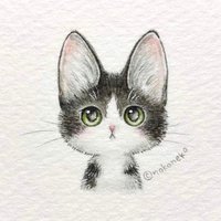 倩ç«2ndðºðœïžðð® (@yonaturuki88) 's Twitter Profile Photo 倩ç«2ndðºðœïžðð® (@yonaturuki88) 's Twitter Profile Photo