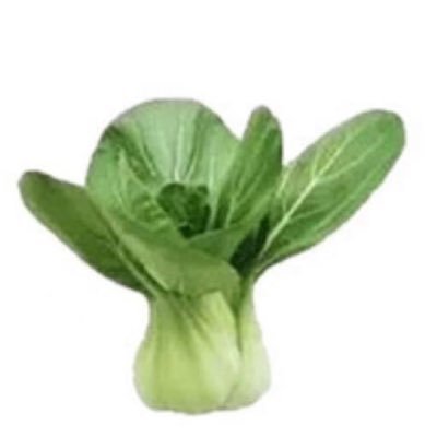 LIUYU82896312's profile picture. 