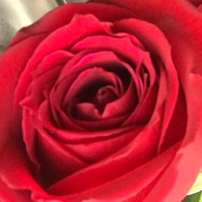 20↑ 社会人 永久鍵垢 無言フォローや申請させて頂いておりますすみません//いろんなジャルンに狂う用アカウント//リツイートやいいね等の反応はプラスの意味でしかしません//今特に好きなのは🌈🕒の🧐と🌩️🦒中心に11人の🦸、学マスの千奈ちゃん、NIKKEのエードさんです//フォロバはしません、恥ずかしいので