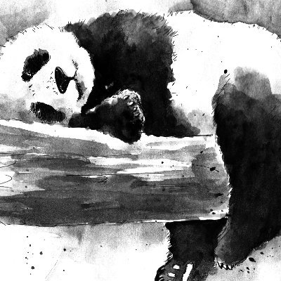 drypandaさんのプロフィール画像