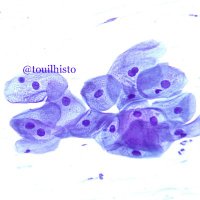 Touil Aicha (@touilhisto) 's Twitter Profile Photo Touil Aicha (@touilhisto) 's Twitter Profile Photo