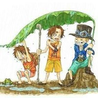 bicoens (@ahaoyo) 's Twitter Profile