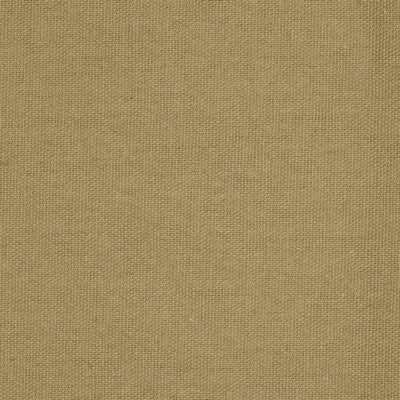 lakshdz's profile picture. 