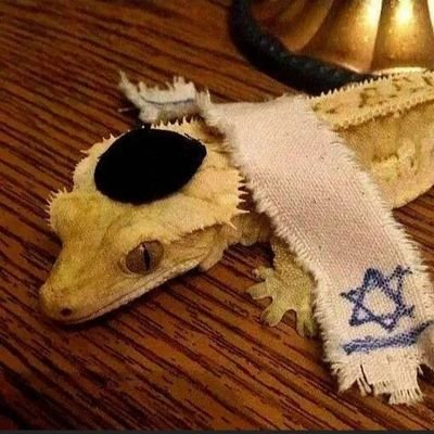 Gladkovv's profile picture. «why anyone does anything, bitter and unbearable boredom»