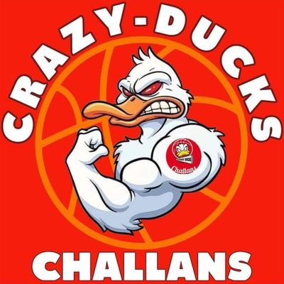 Compte Officiel des 🦆CRAZY DUCKS, Canards Dingues🦆, club de supporters du Vendée Challans Basket depuis mars 2017❤️💟