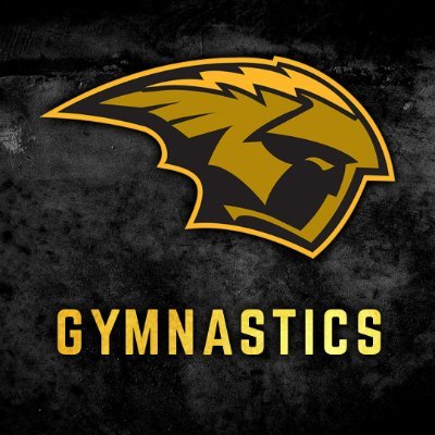 UWOGymnastics Profile Picture