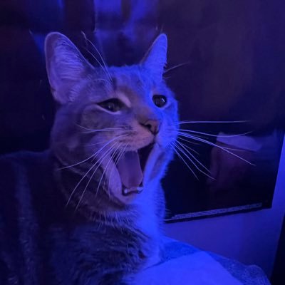 liinzzee's profile picture. 