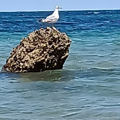 Soy de aquí y de allí. Vivo donde me lleva mi mente y a veces mi cuerpo. Vivo en tí