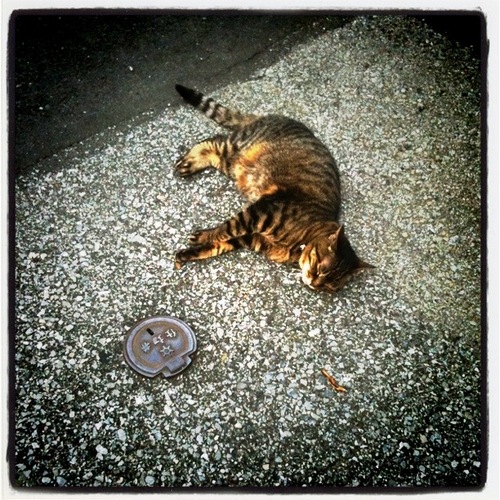 selvedge_bag's profile picture. made in Tokyo, bag, pony leather, light weight bag,made in Japan,selvedge