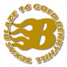 txblazegold16's profile picture. 16U Gold fastpitch team located in central Texas. We believe in ourselves, each other and give relentless effort. Head Coach @brettberryhill33