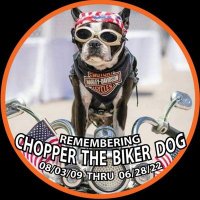 Chopper The Biker Dog ™(@ChopperBikerDog) 's Twitter Profile Photo