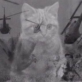 geogranet's profile picture. достатньо хороша людина.