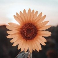 salem ali (@salemalijo) Twitter profile photo