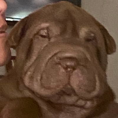 Murmiche's profile picture. Michele HD Murata | she/her | DHS ‘22 | LU ‘26 |