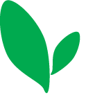 mintleafstudio's profile picture. Delivering online success