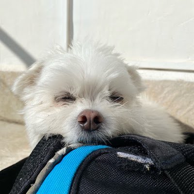 WDakore's profile picture. 