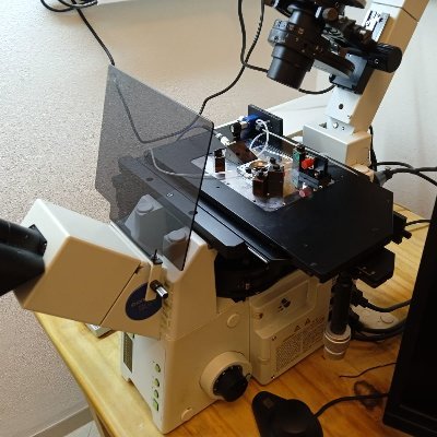 We are a technological platform specialized in bringing technical assistance, teaching and doing research in high and super resolution fluorescence microscopy