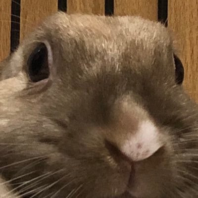 bokuhaotarou's profile picture. 大手前73rd→京都大学理学部→京都大学大学院理学研究科 物理学・宇宙物理学専攻 M1 将棋アニメ漫画ゲームパズル atcoder初心者 競プロアカ@kyopurotarou