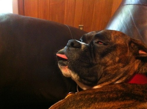 drbeasley's profile picture. 