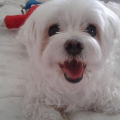 MarkSpe17851203's profile picture. 