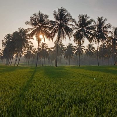vakkinichallaf2's profile picture. Experience the feel of farming. Farming since 1910
Come and visit us to enjoy the lush green paddy 
landscapes and feel the sounds of nature.