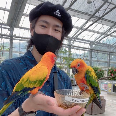 Poriさんのプロフィール画像
