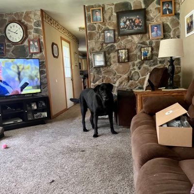 boliver_patrick's profile picture. football/wrestling/baseball