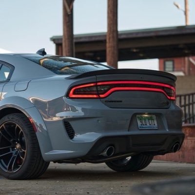 omarsh7668's profile picture. 