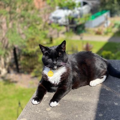 swright87's profile picture. 