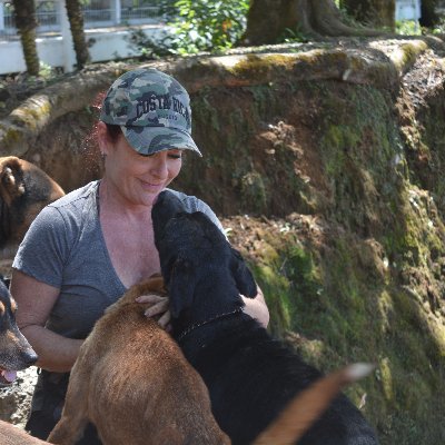 LandofStrays's profile picture. Founder of Land of the Strays - World's most unique shelter, home to 1.800 dogs 🐶