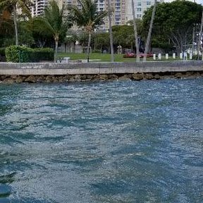 KaiylaDos's profile picture. Focused Listener of True Crime Pods
 & 
Leader of the Reality'ish TV Addicts United Non-Denominational House of Judgment & Truth Based 
Love🙌😂