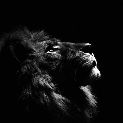 MYoosefpour's profile picture. نصر من الله و فتح القریب