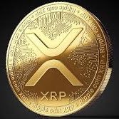 Xrp holder