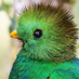 Ernesto Velazquez (@ernesto37474956) Twitter profile photo Ernesto Velazquez (@ernesto37474956) Twitter profile photo