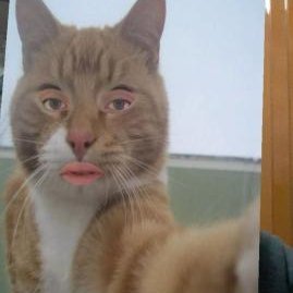 JulinSa90728726's profile picture. Tell me what, tell me what, tell me what you want                                     FAN DE KFC 
SI SOY EL DE LA FOTO
Sapiosexual SHE/HER